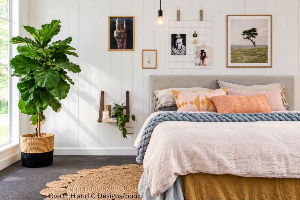 White Carpeted Comfort